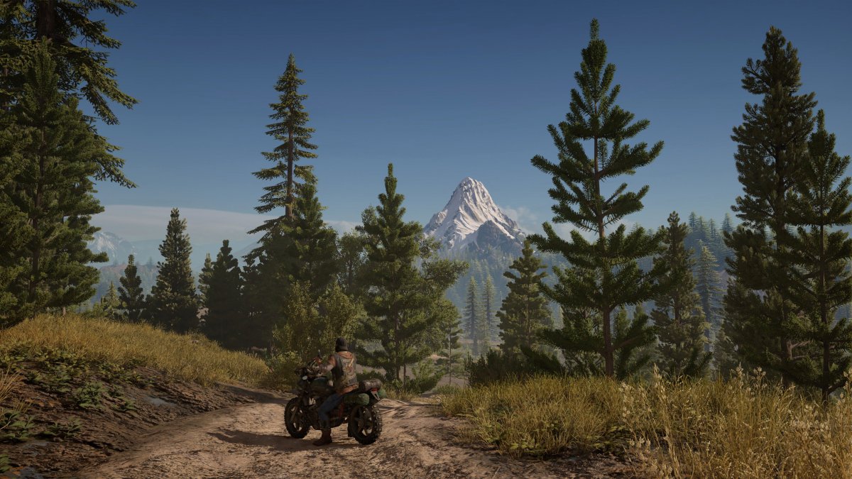Days Gone ֲ г ps4 ϷͼƬ