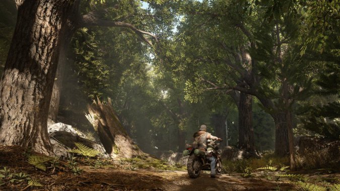 Days Gone ֲ г  ps4  Ϸ