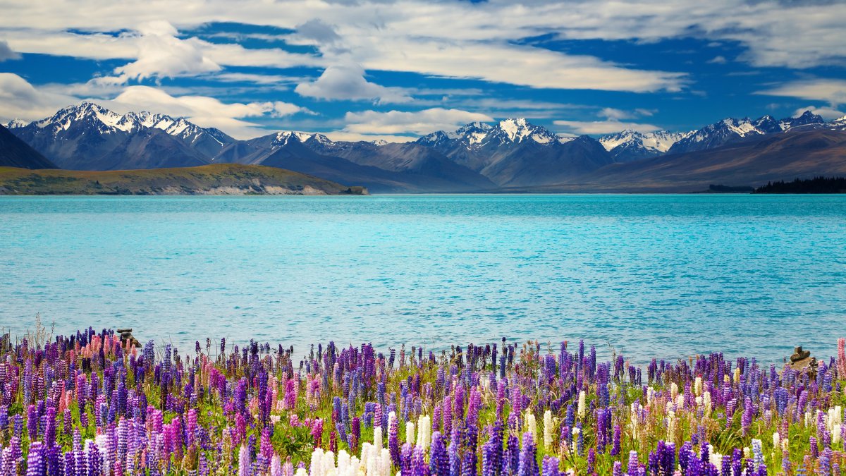 Tekapo  ɽ  4kͼƬ