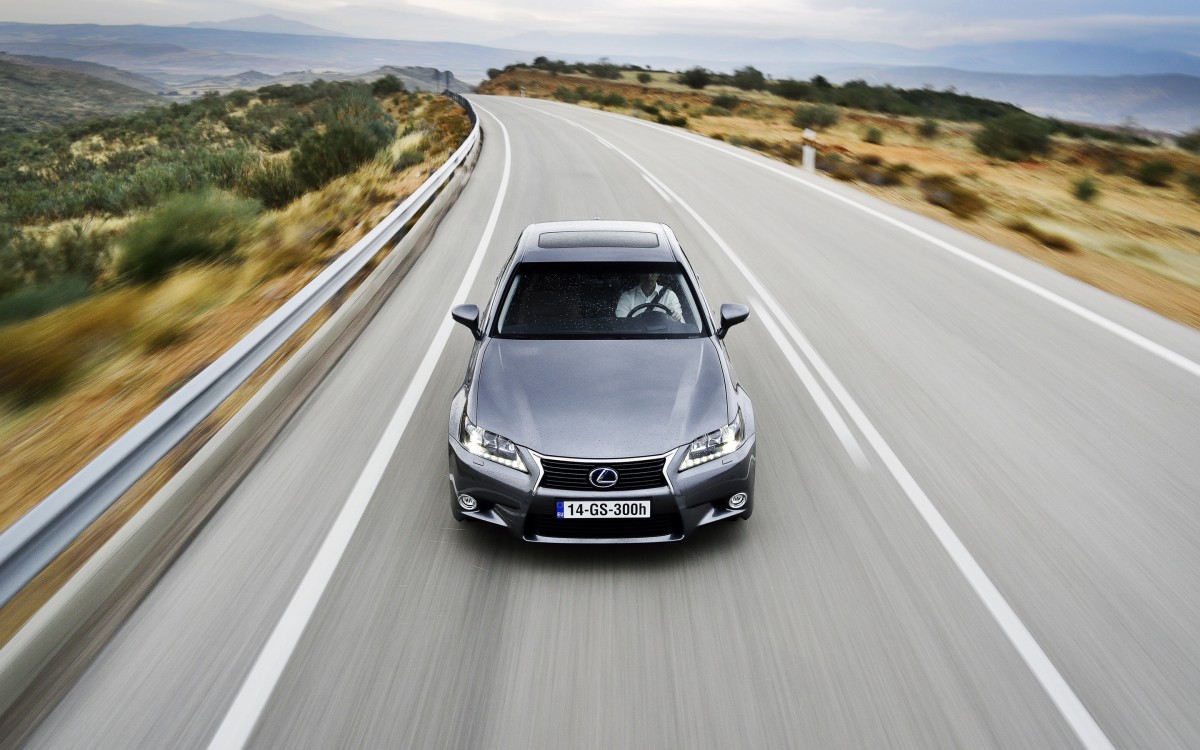2014׿˹GS 300Hֽ