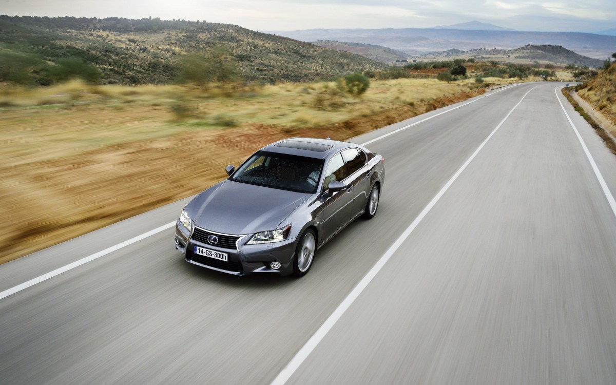 2014׿˹GS 300Hֽ