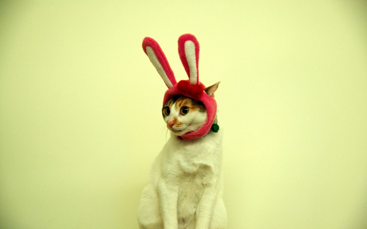 ɰèͼƬ