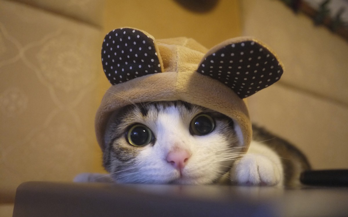 ɰèͼƬ