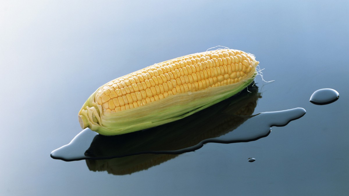 ͼƬֽ