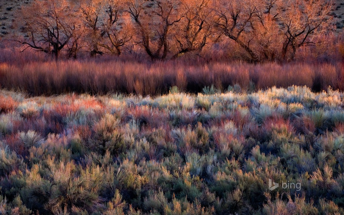 2013Bing12·羰ֽ