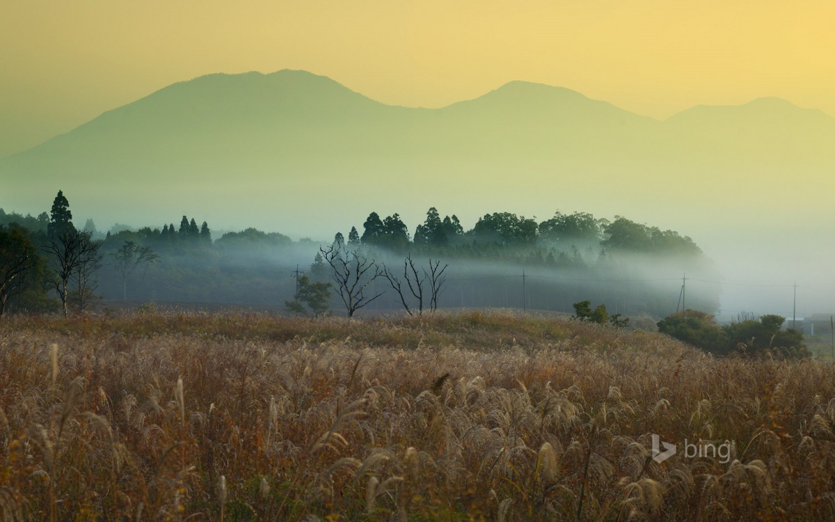 2013Bing12·羰ֽ