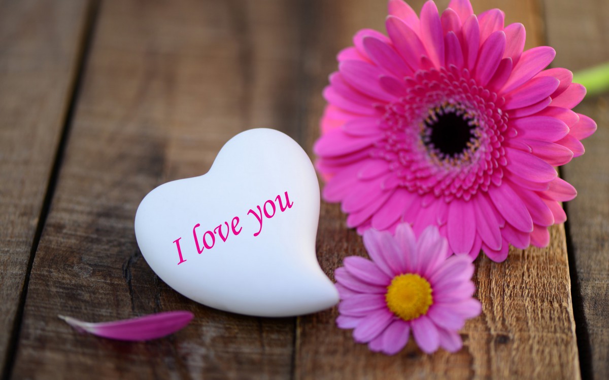 2014˽I love youֽ