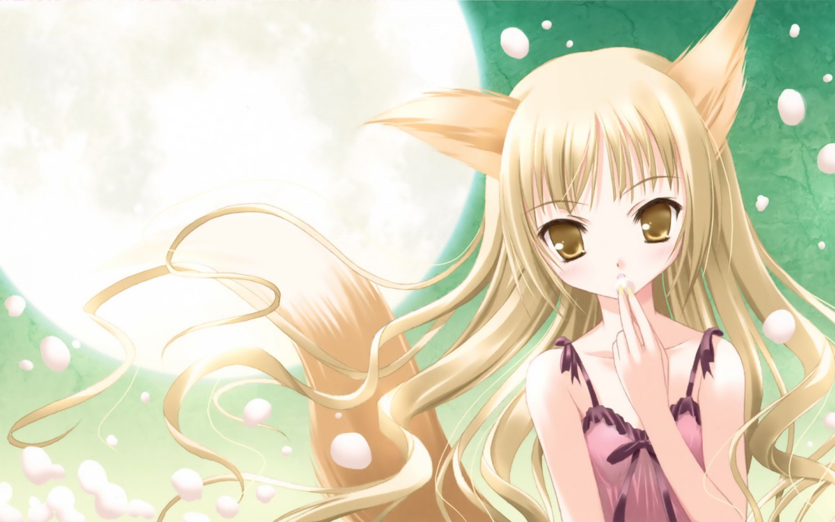 Cafe Little WishϷֽ