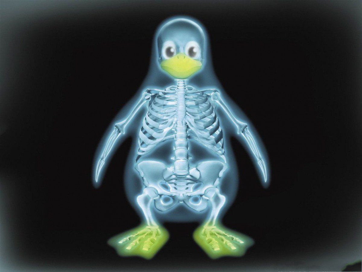 ȤLinuxͼƬ