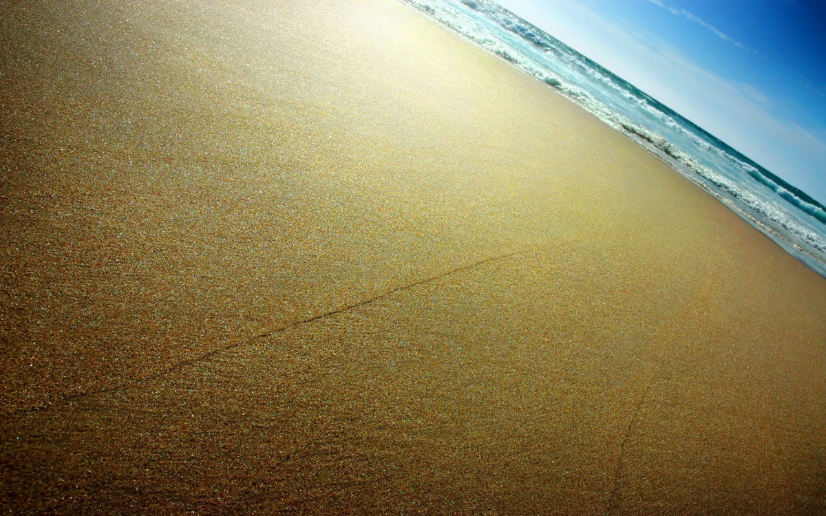 ɳֽ̲