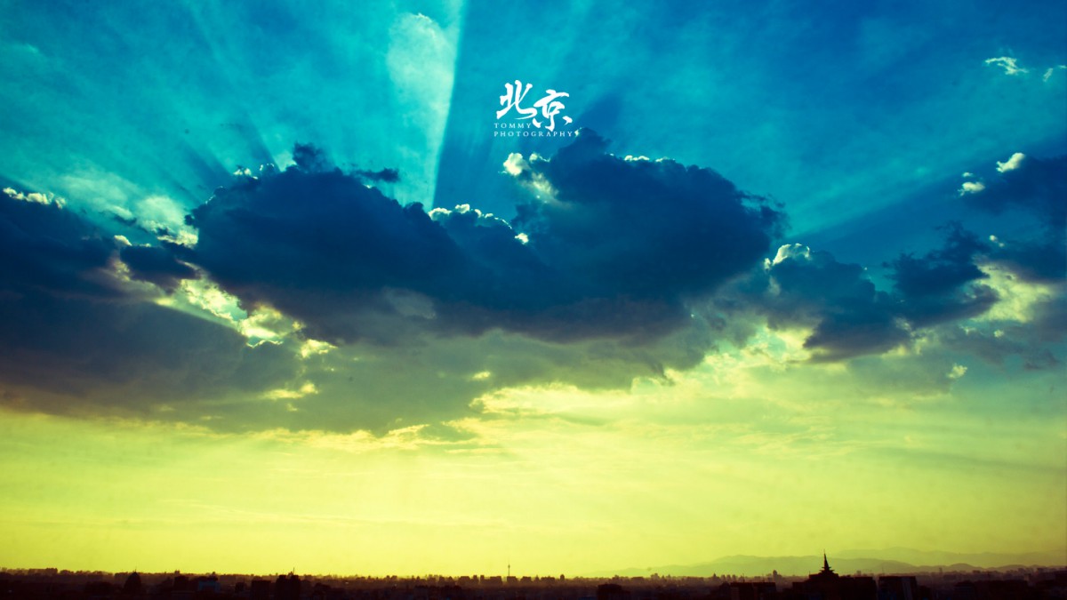 ʵձֽ