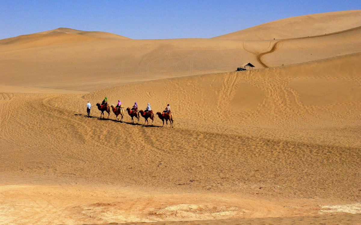 ػɳɽ羰ֽ