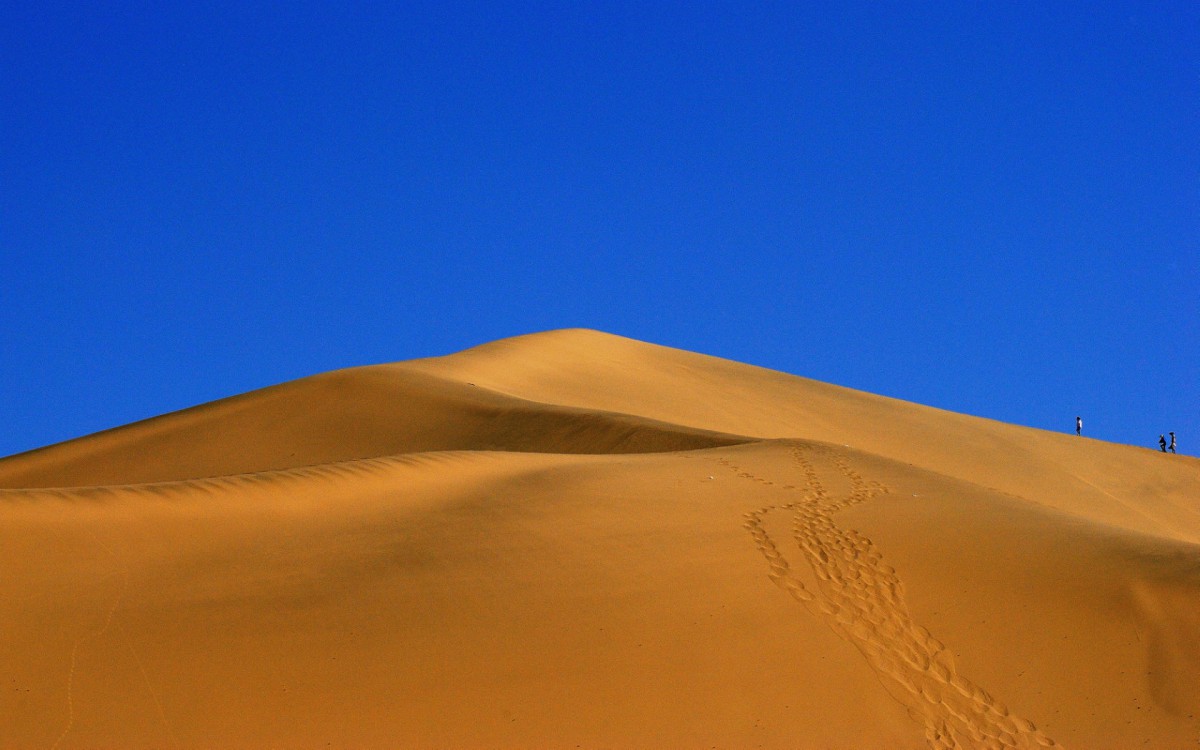 ػɳɽ羰ֽ