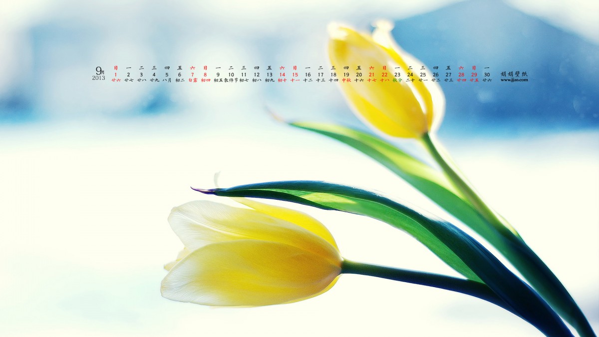 20139ֽ