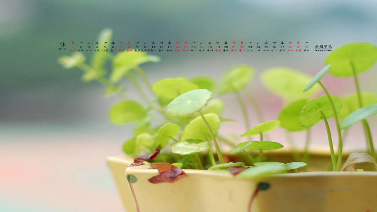20139ֽ