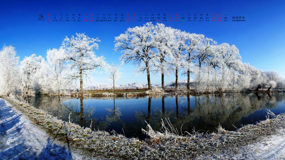 20139ֽ