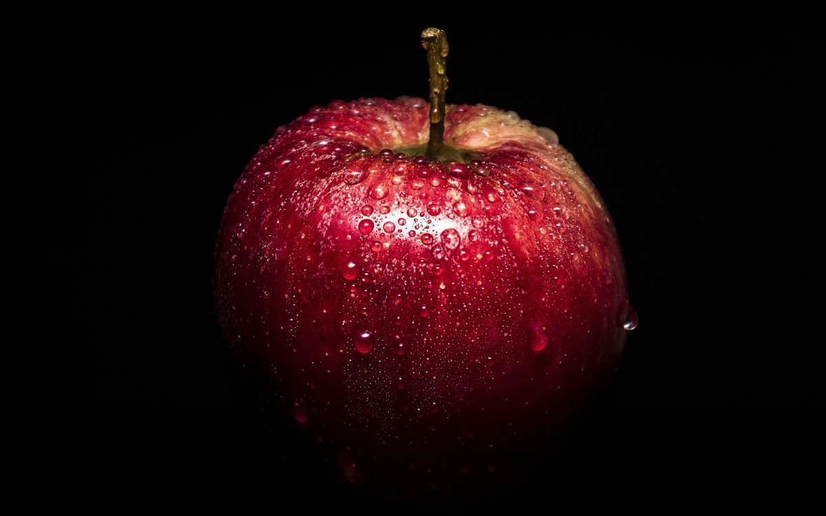 ƻͼƬֽ