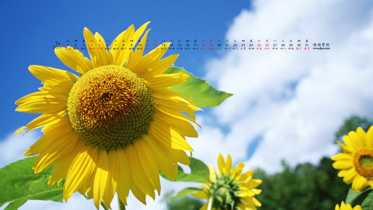 20141ֽ