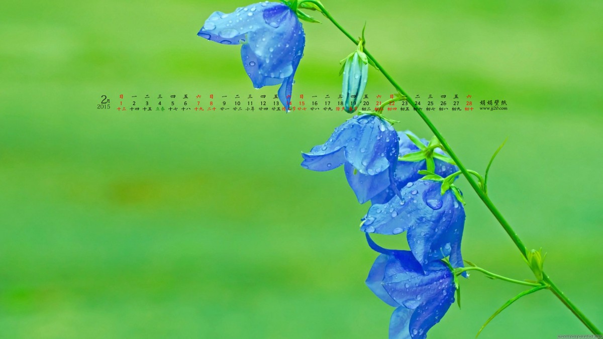 20152ֽ