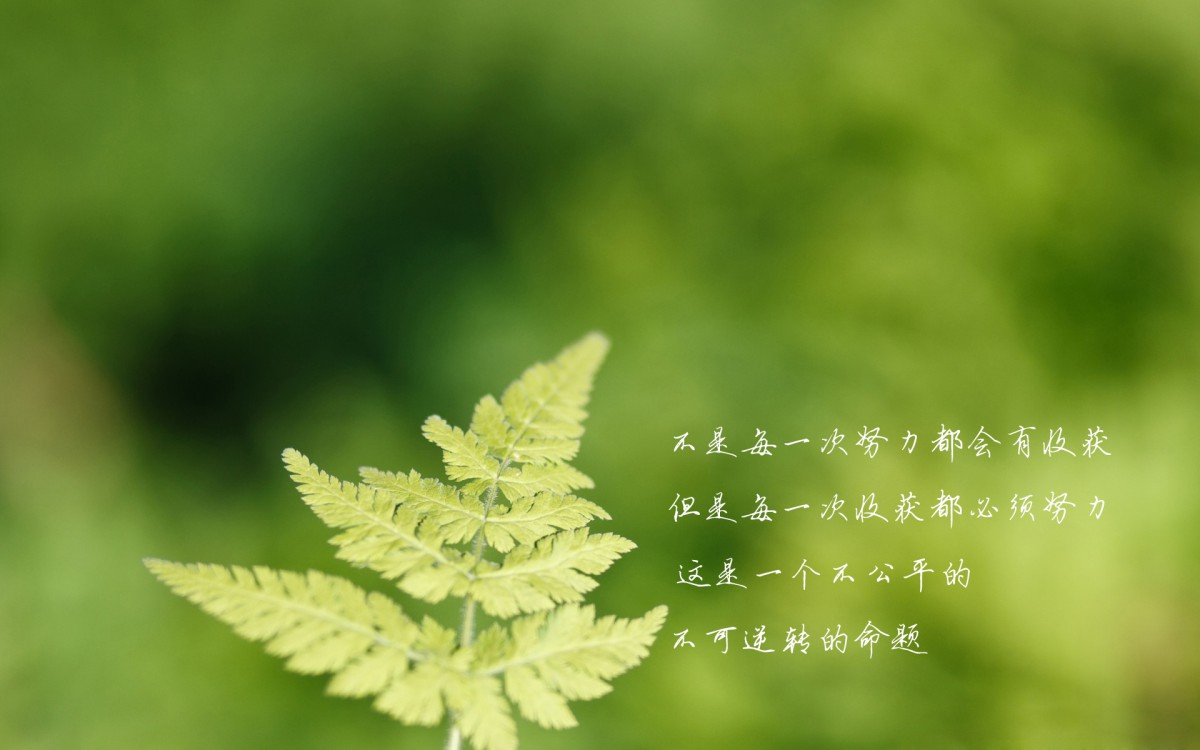 ¼ֱֽ