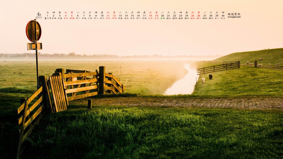 20154ֽ
