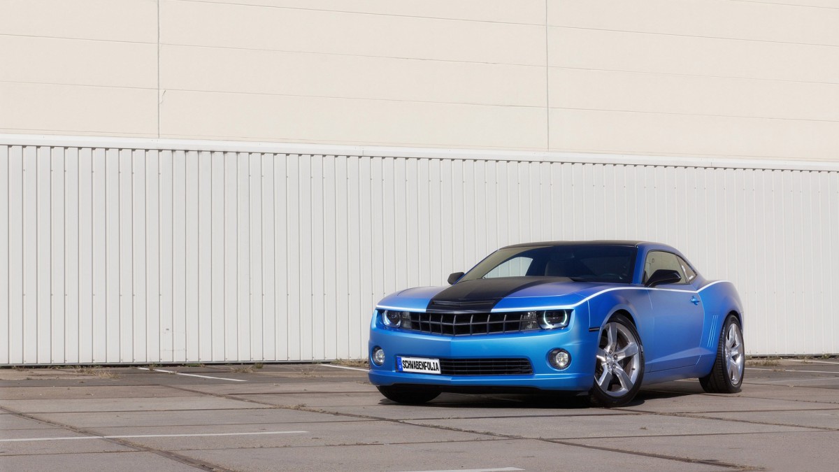 ɫCamaroֽ
