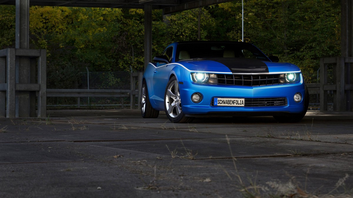 ɫCamaroֽ