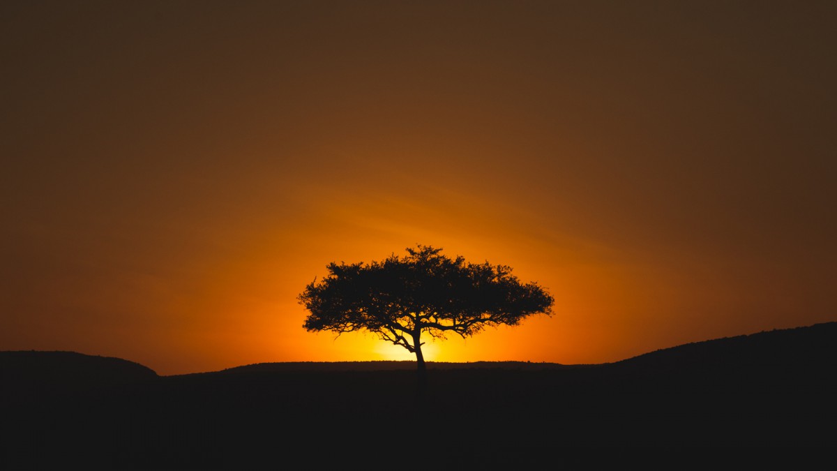 AFRICAֽ
