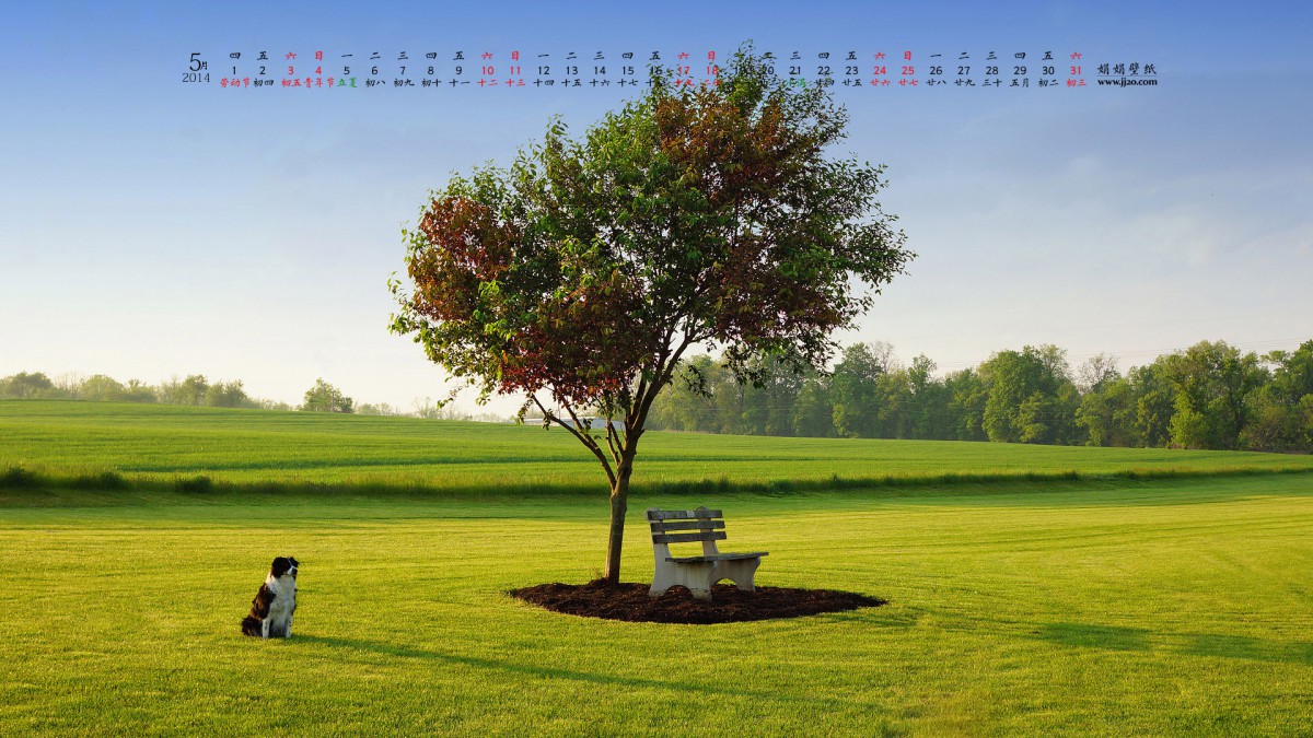 20145ֽ