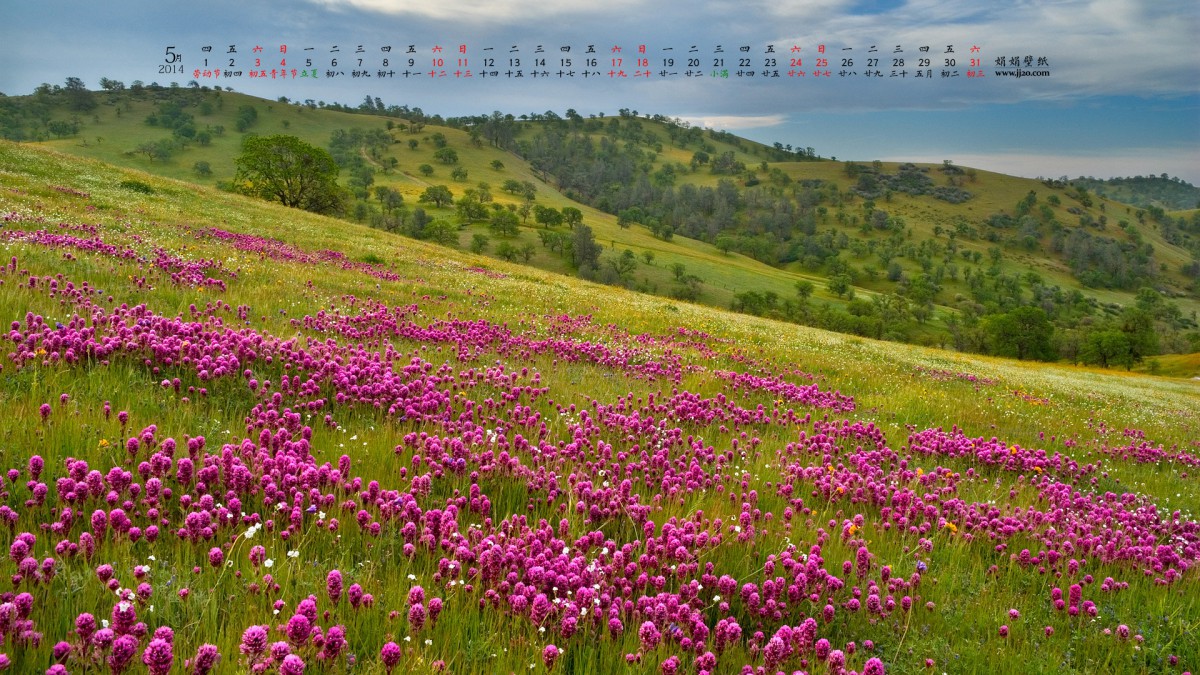 20145ֽ