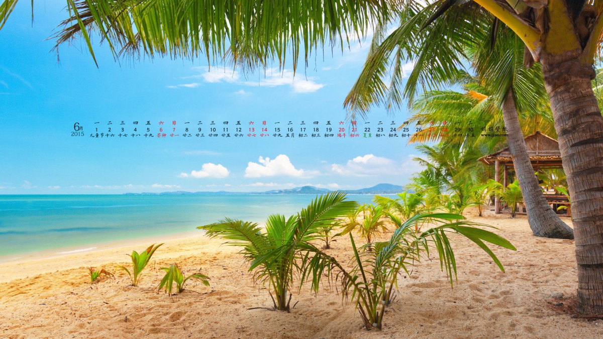 20156ֽ