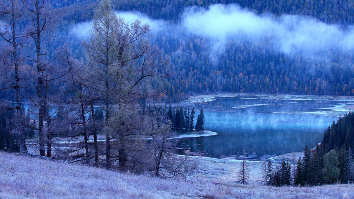½̩羰
