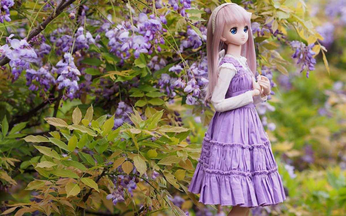 DollŮżͼƬֽ