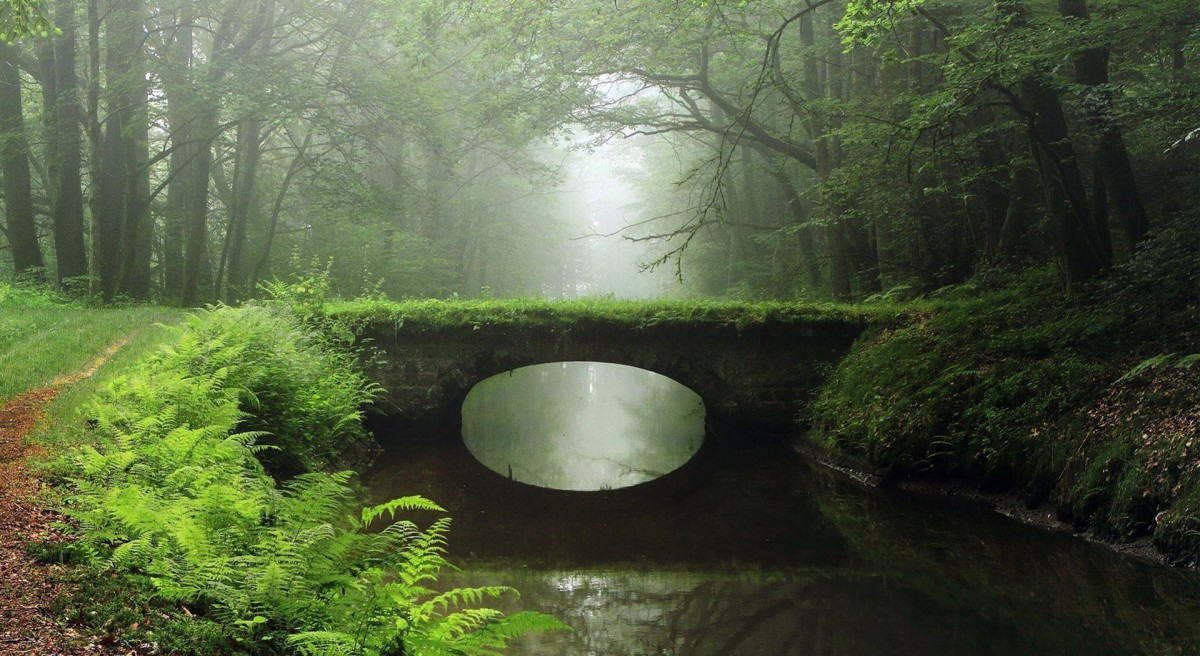 ͼƬֽ