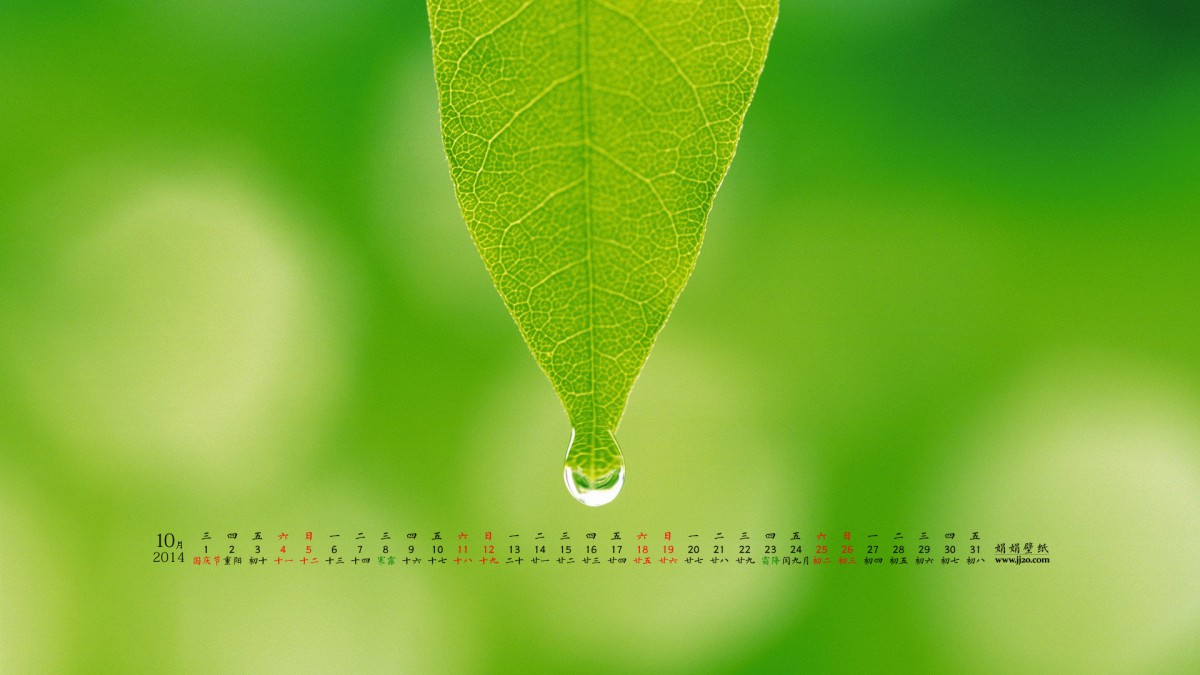 201410ֽ