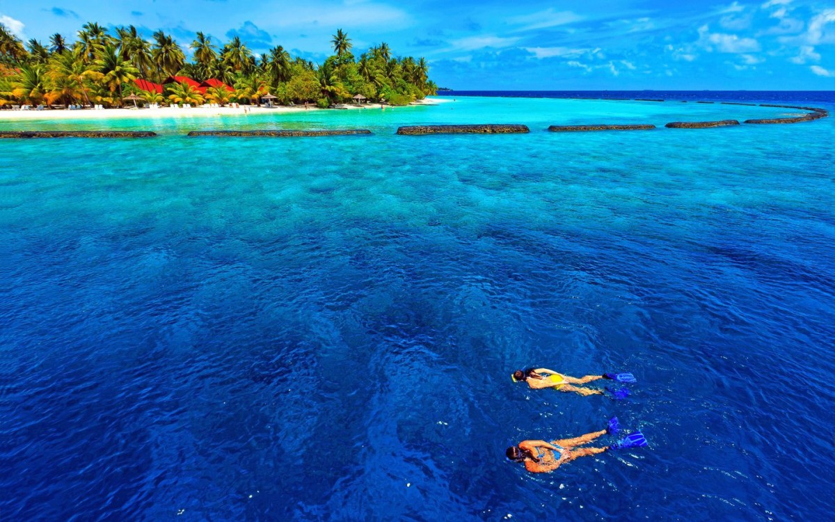 ë˹η羰ֽ