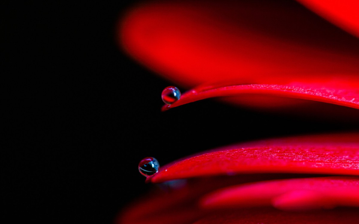 Ψϵ¶ֽ