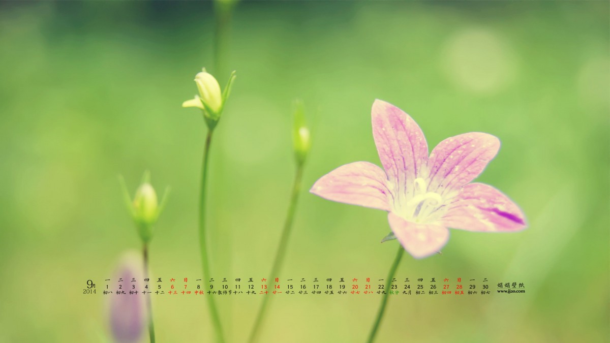 20149ֽ