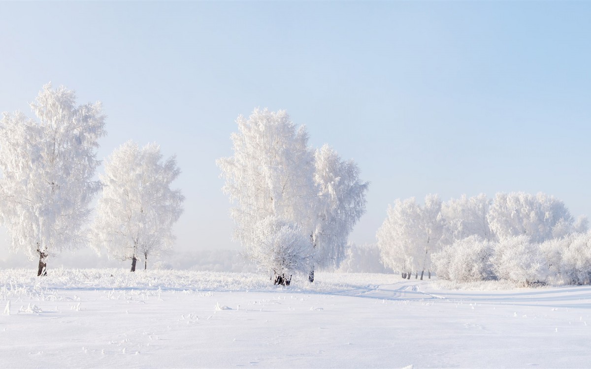 ѩɽֽ