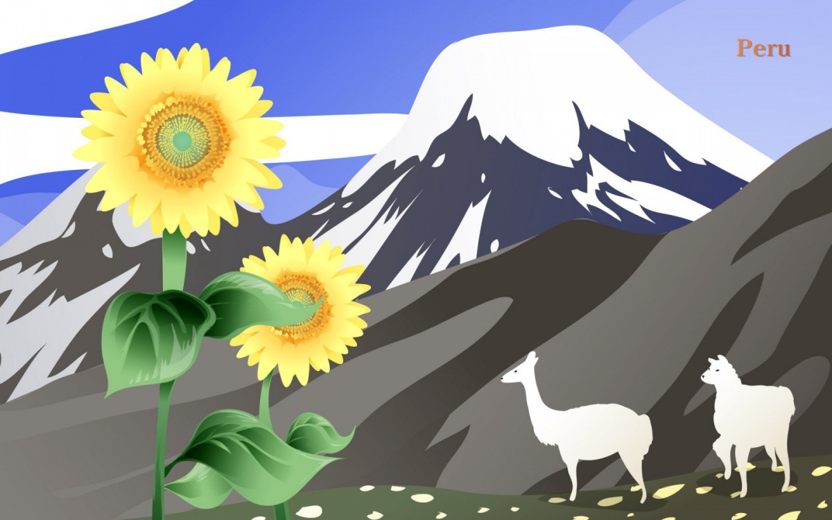 ֻͼƬ