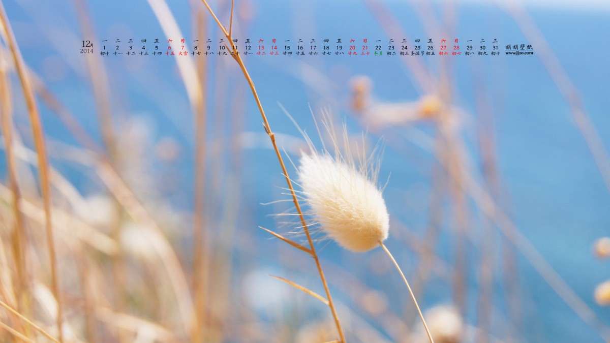 201412ֽ