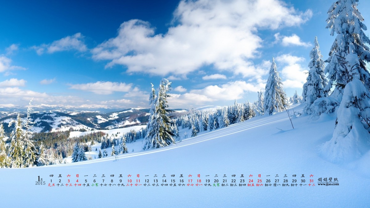 20151ֽ