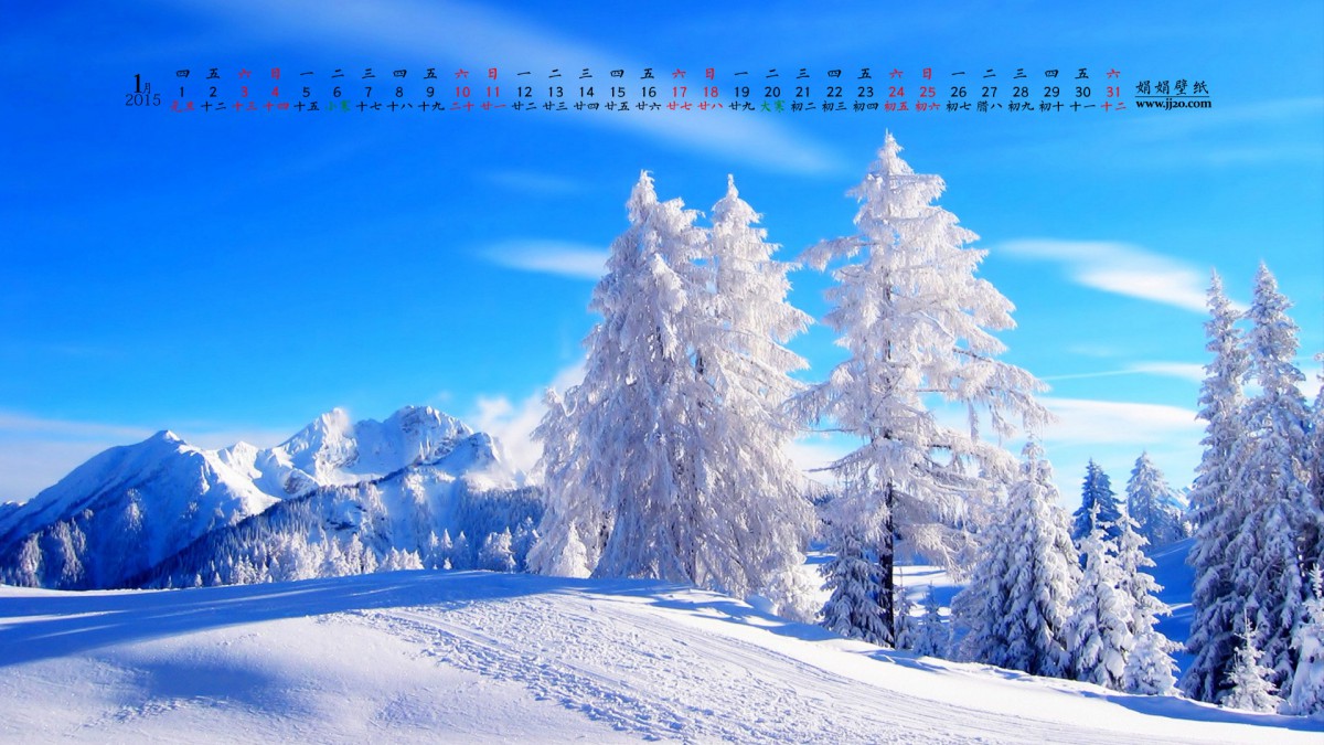20151ֽ