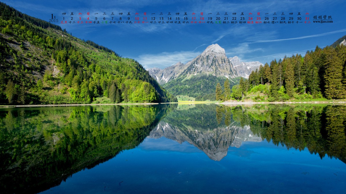 20151ֽ