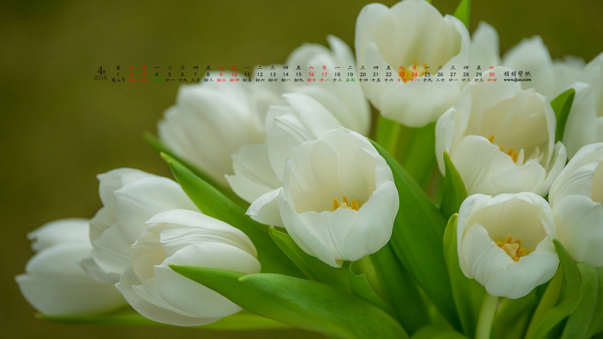 20164ֽ