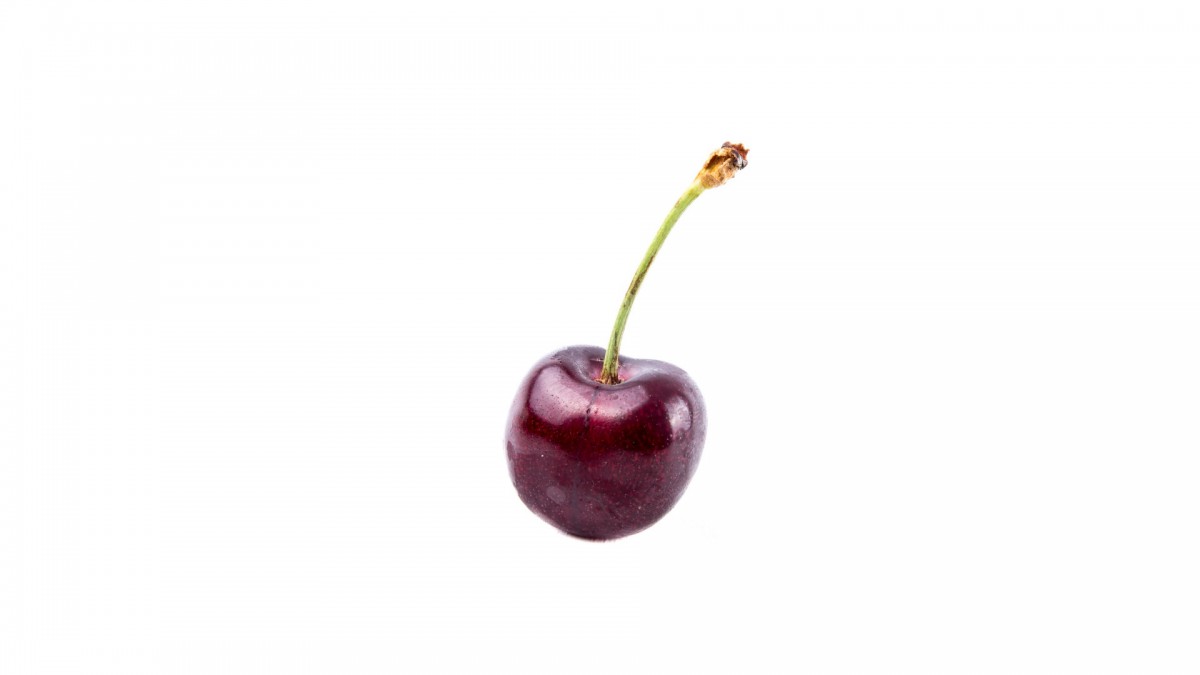 ͼƬֽ