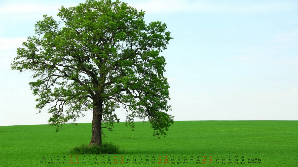 20157ֽ