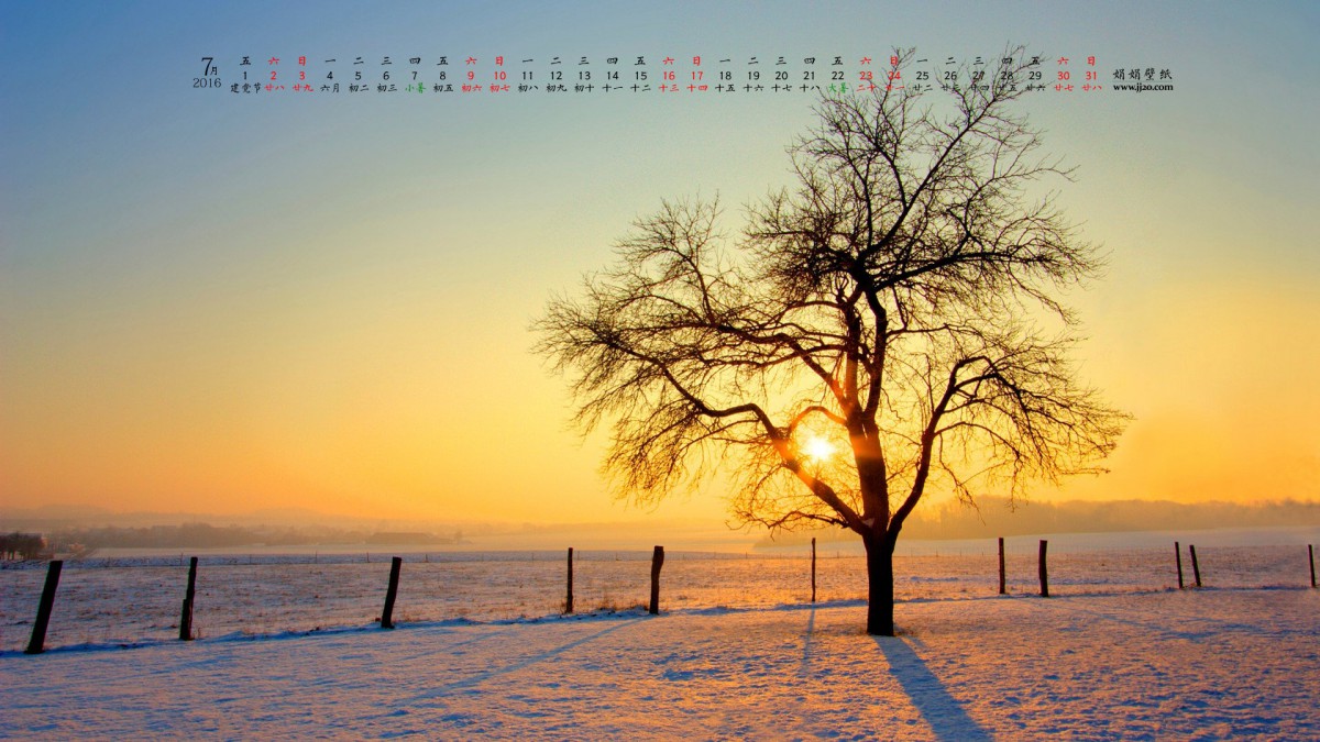 20167ֽ