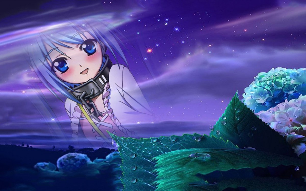 콵֮ﶯֽ