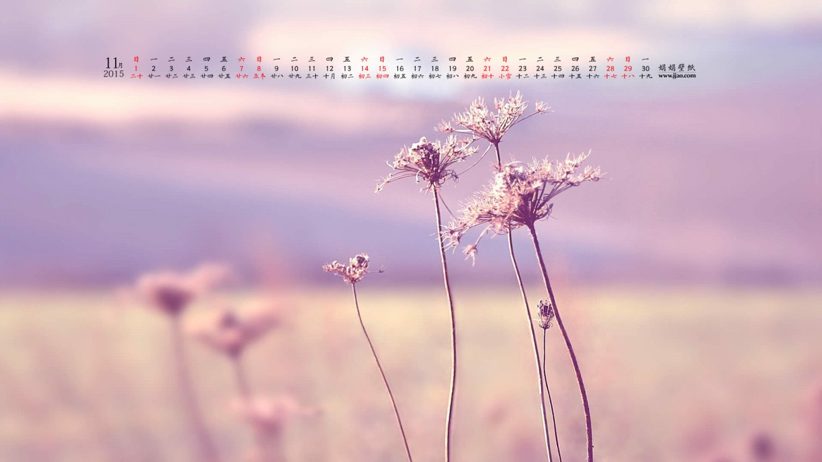 201511ֽ